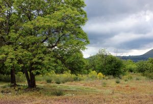 TUFF: un intervento necessario TUFF: un intervento necessario