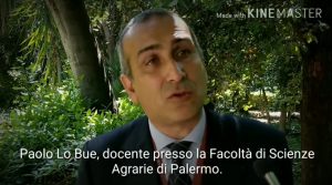 l ruolo del dottore agronomo e del dottore forestale all’interno del mondo accademico: il caso del PAN l ruolo del dottore agronomo e del dottore forestale all’interno del mondo accademico: il caso del PAN