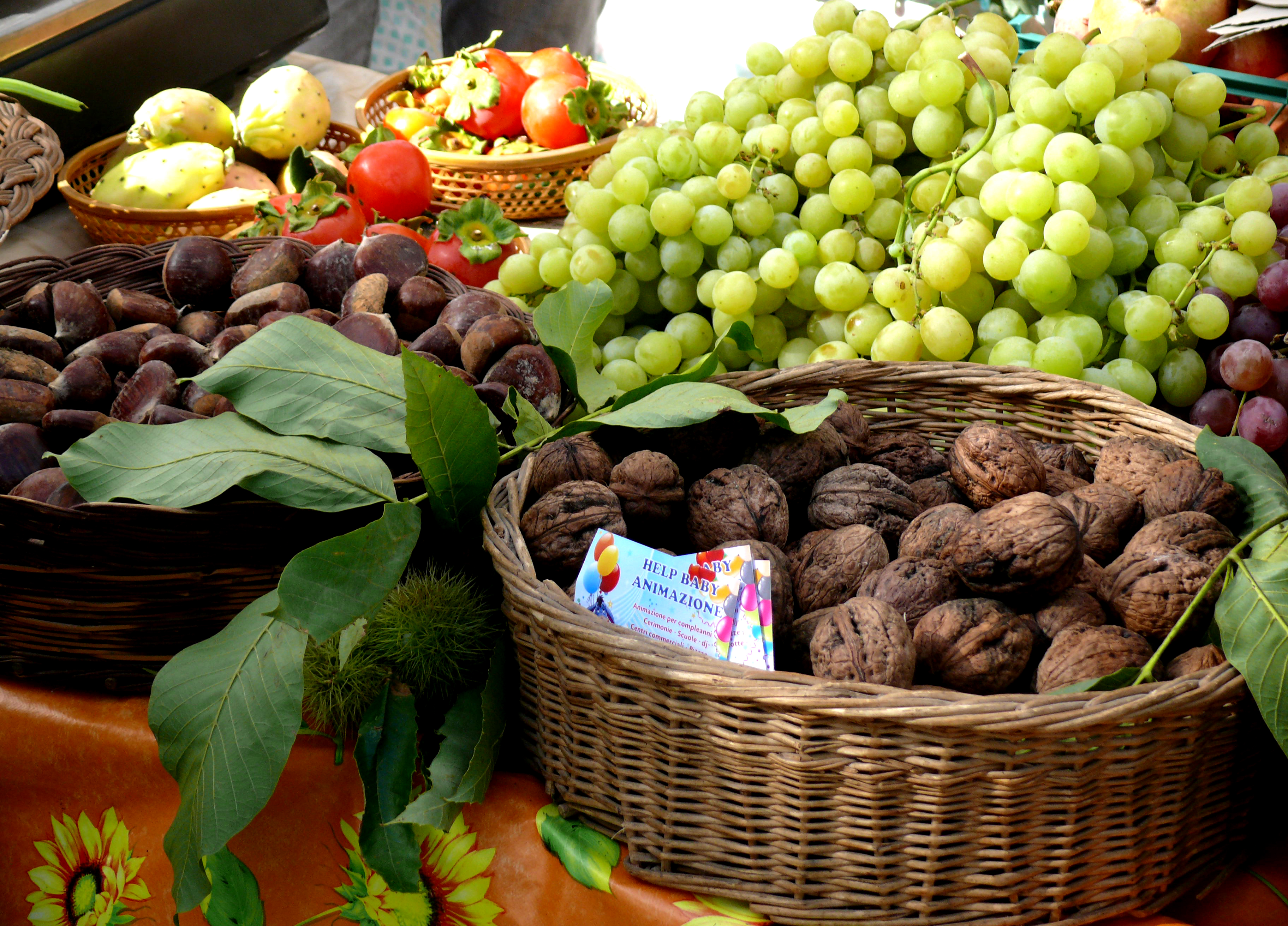 Consulenza in agricoltura: le novità della proposta per la PAC post 2020 Consulenza in agricoltura: le novità della proposta per la PAC post 2020