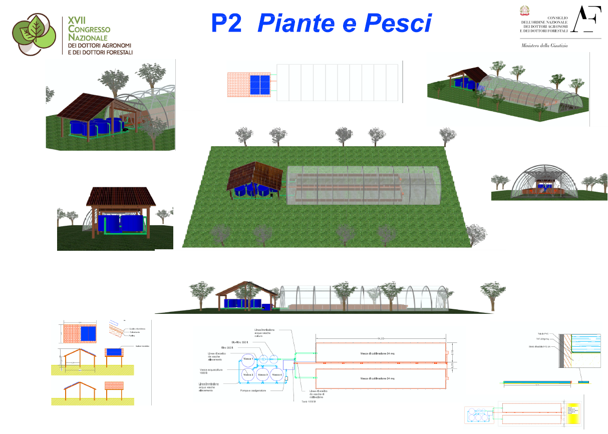 P2 “Pianto piante, pesco pesci” P2 “Pianto piante, pesco pesci”