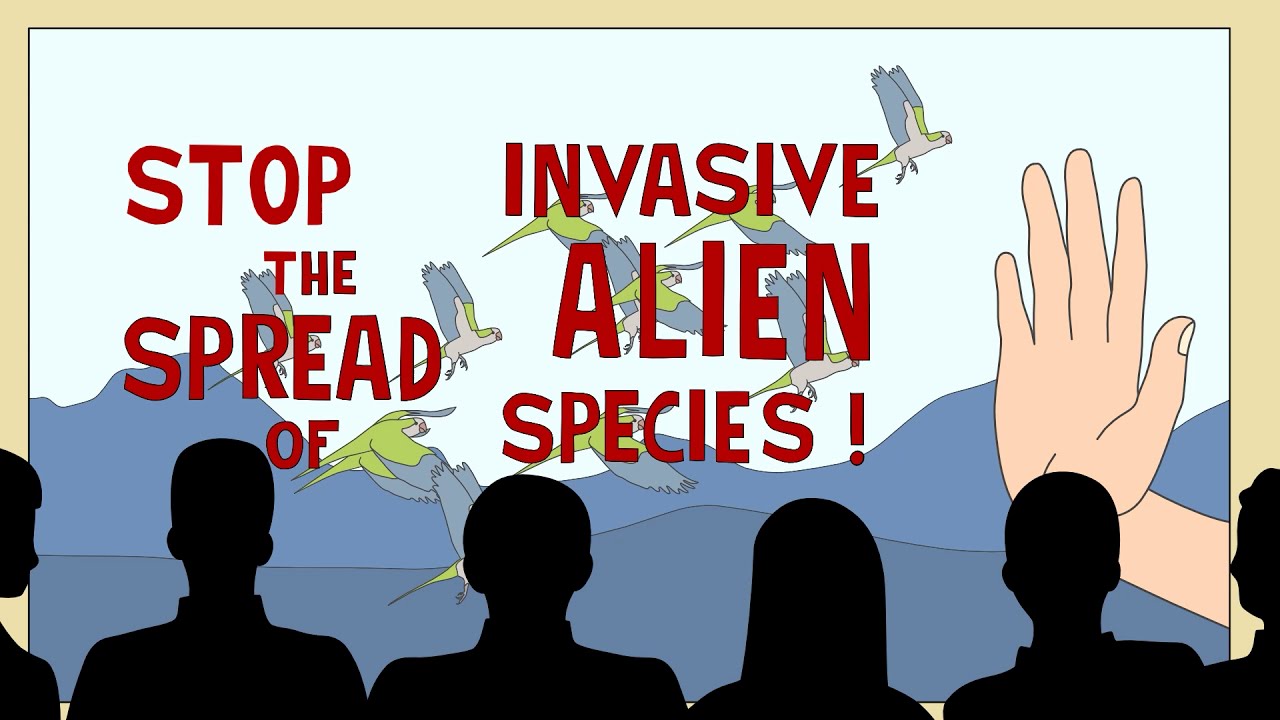 Invasioni biologiche e EICAT Invasioni biologiche e EICAT
