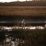 Vegetazione riparia e corsi d’acqua vegetati: un mondo da scoprire tra ecologia ed idraulica Vegetazione riparia e corsi d’acqua vegetati: un mondo da scoprire tra ecologia ed idraulica