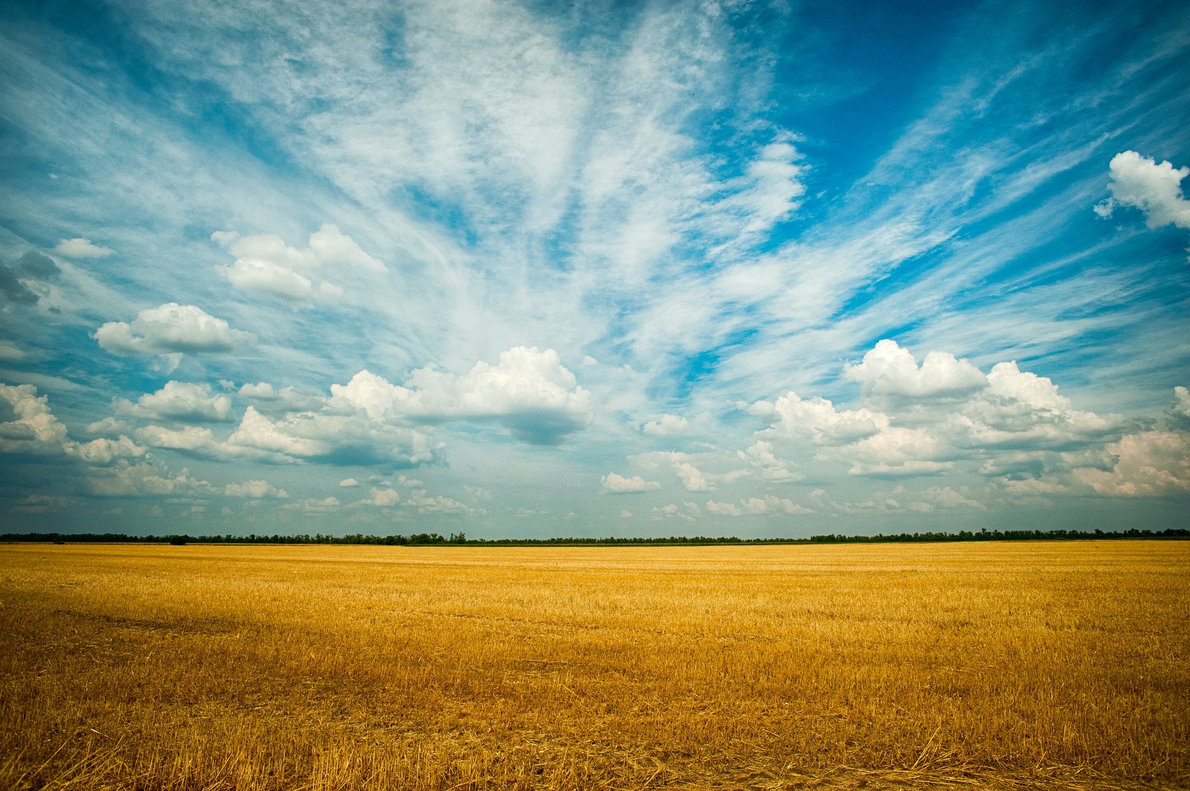 Le nuove competenze che l’agricoltura 4.0 richiede Le nuove competenze che l’agricoltura 4.0 richiede