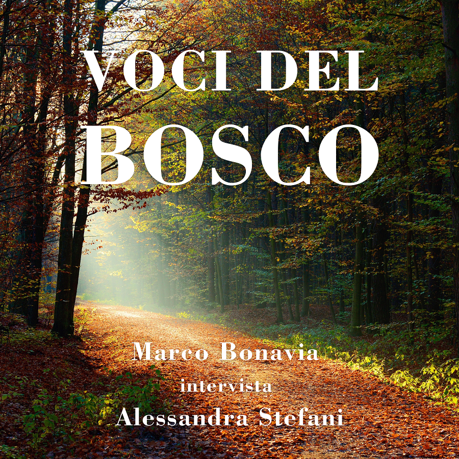 Voci da bosco Voci da bosco