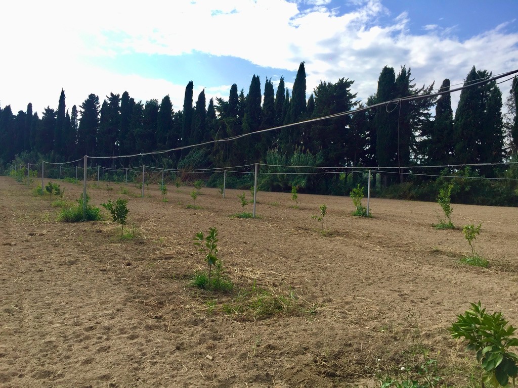 Il mercato degli affitti nel 2020 Il mercato degli affitti nel 2020