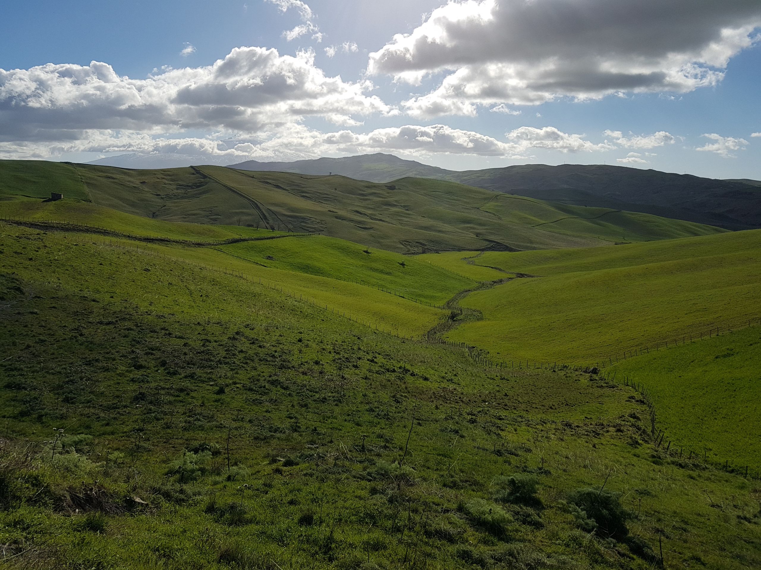 L’andamento del mercato fondiario in Italia nel 2020 L’andamento del mercato fondiario in Italia nel 2020