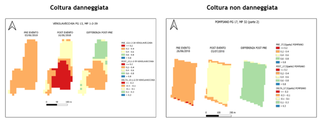 Telerilevamento applicato alla stima dei danni in agricoltura Telerilevamento applicato alla stima dei danni in agricoltura