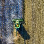 Il grano e la guerra Il grano e la guerra