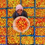 L’andamento dei prezzi in agricoltura L’andamento dei prezzi in agricoltura