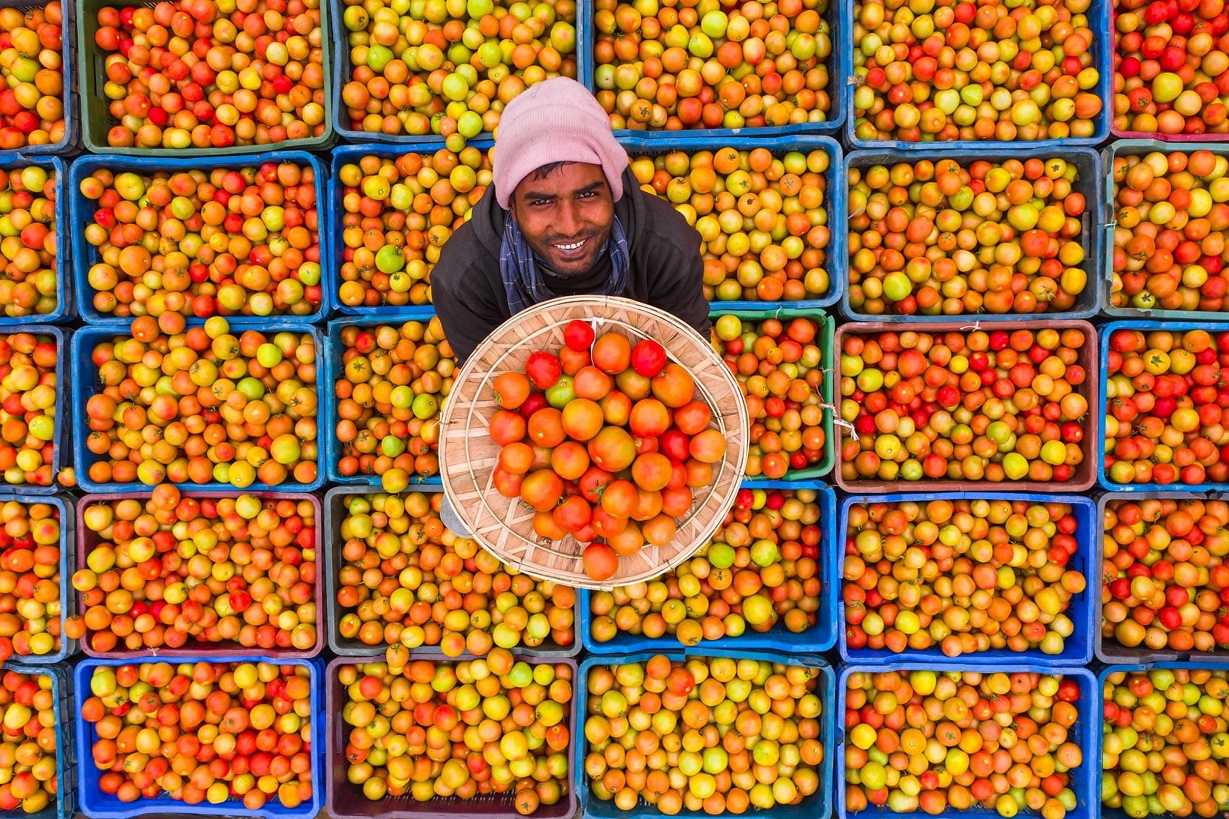 L’andamento dei prezzi in agricoltura L’andamento dei prezzi in agricoltura