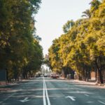 Valutazione fitostatica degli alberi Valutazione fitostatica degli alberi