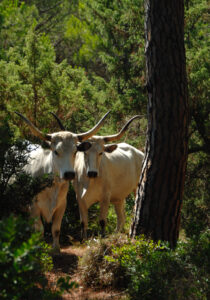 Ribaltare il paradigma Ribaltare il paradigma